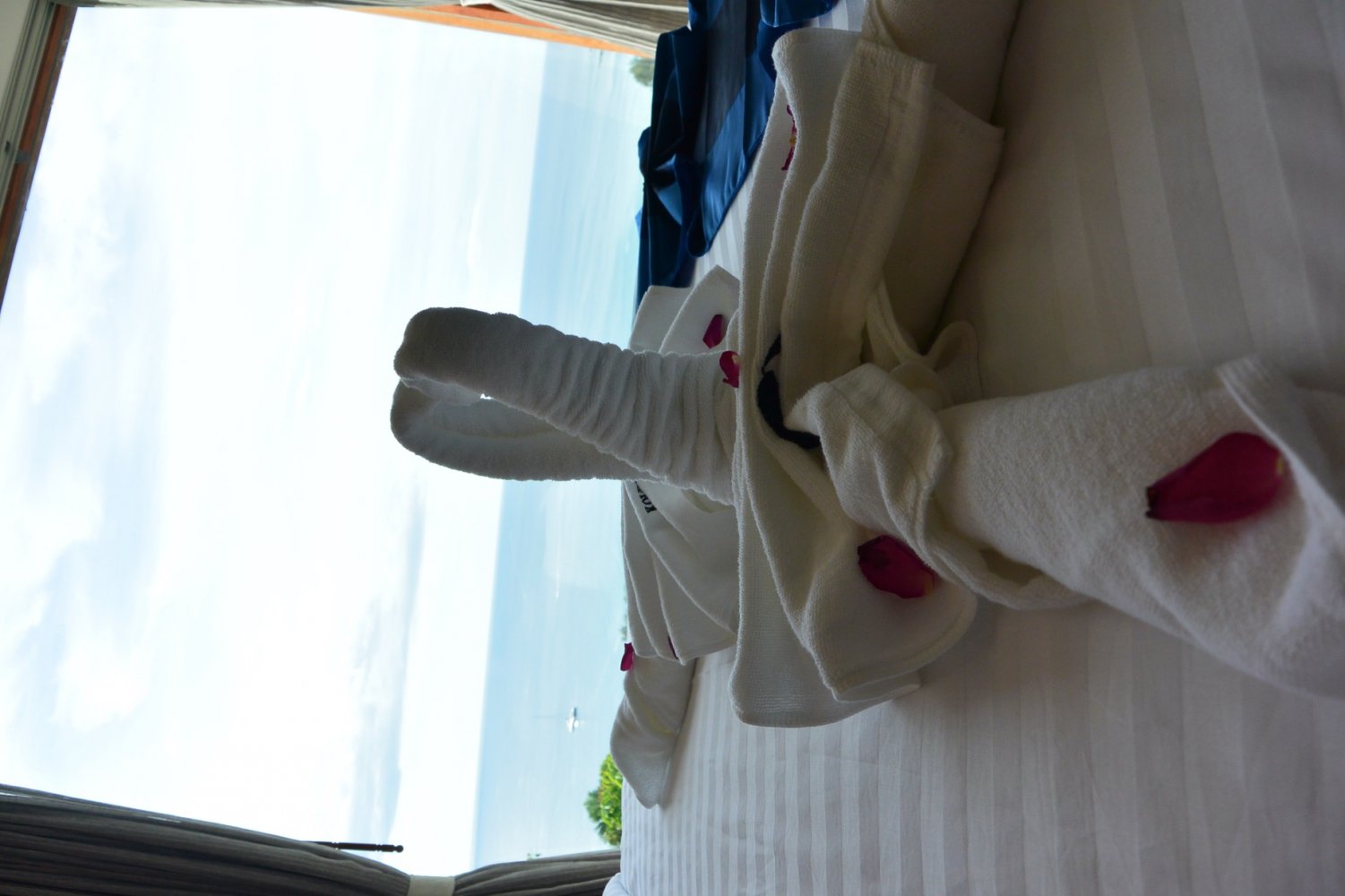 Property image - gallery 61