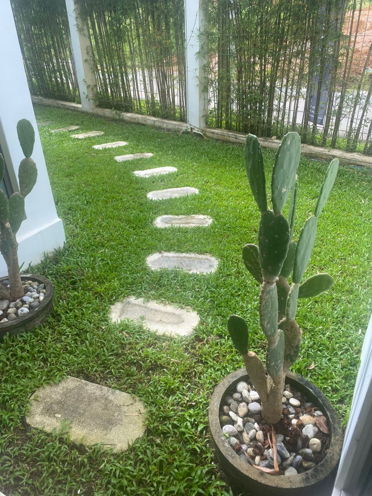 Property image - gallery 9