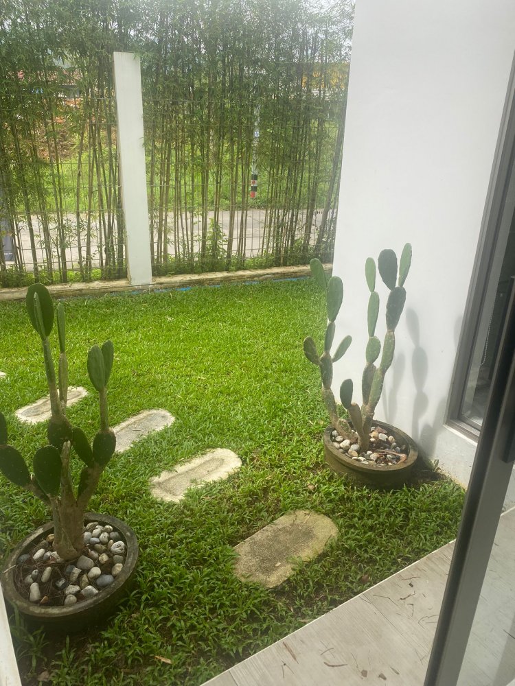 Property image - gallery 7