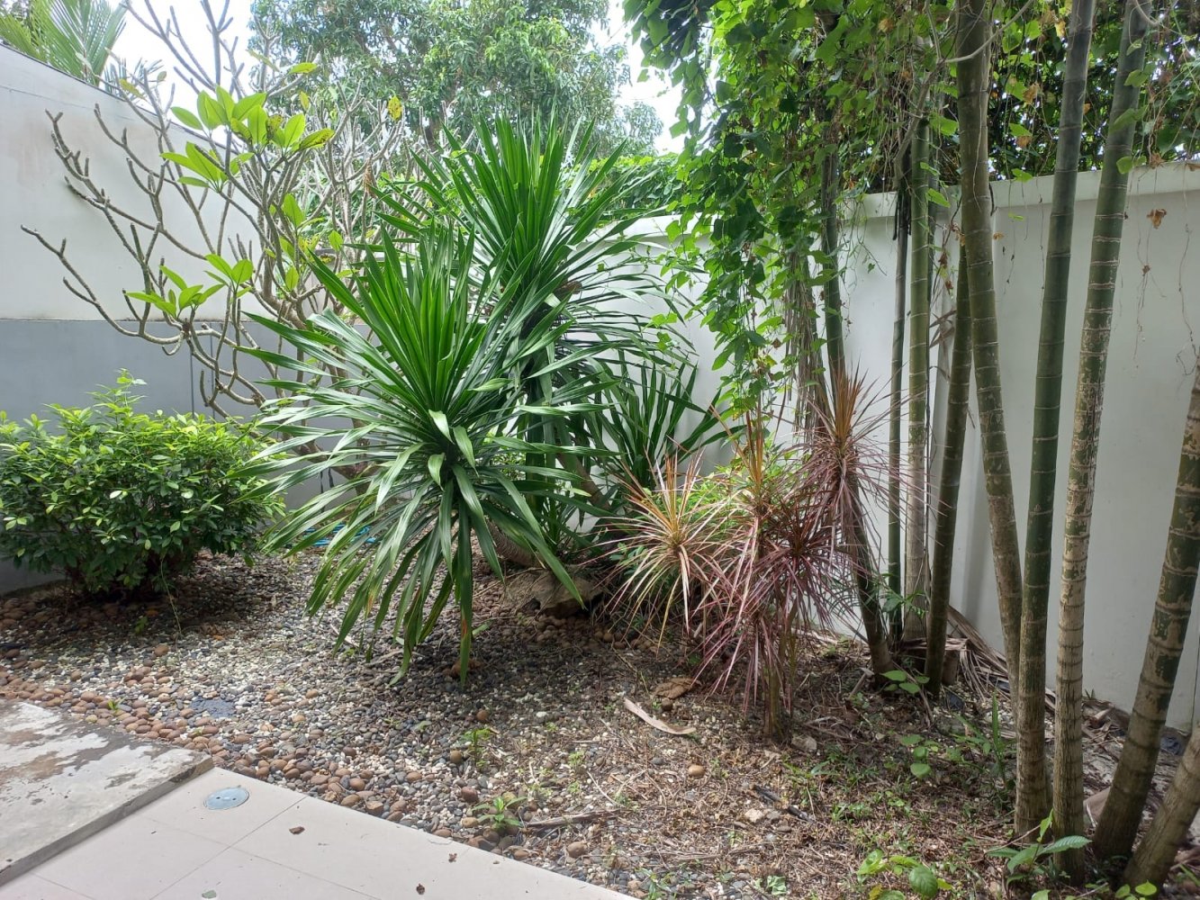 Property image - gallery 15