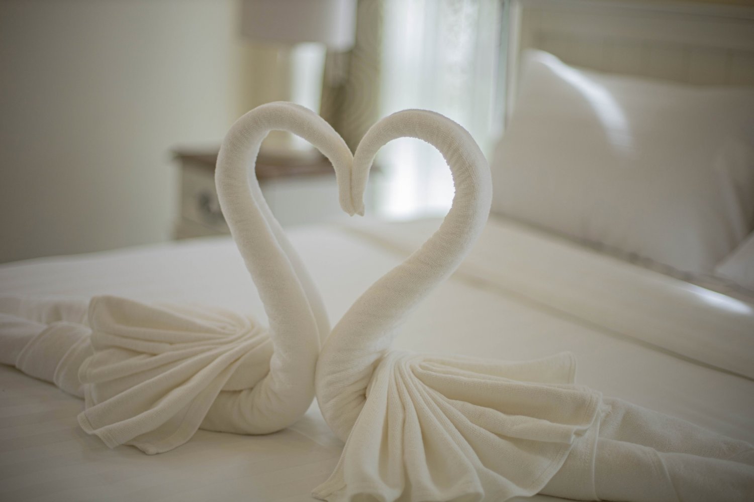 Property image - gallery 8