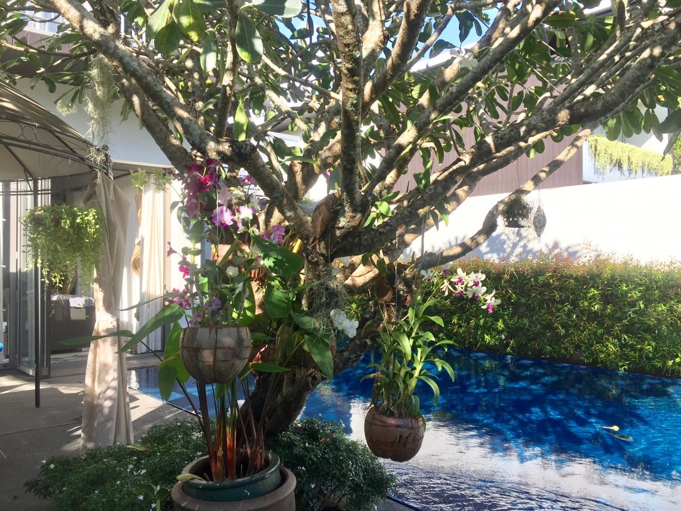 Property image - gallery 40