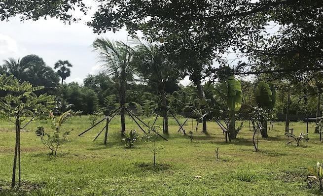 Property image - gallery 19