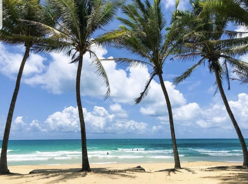 Property image - gallery 26