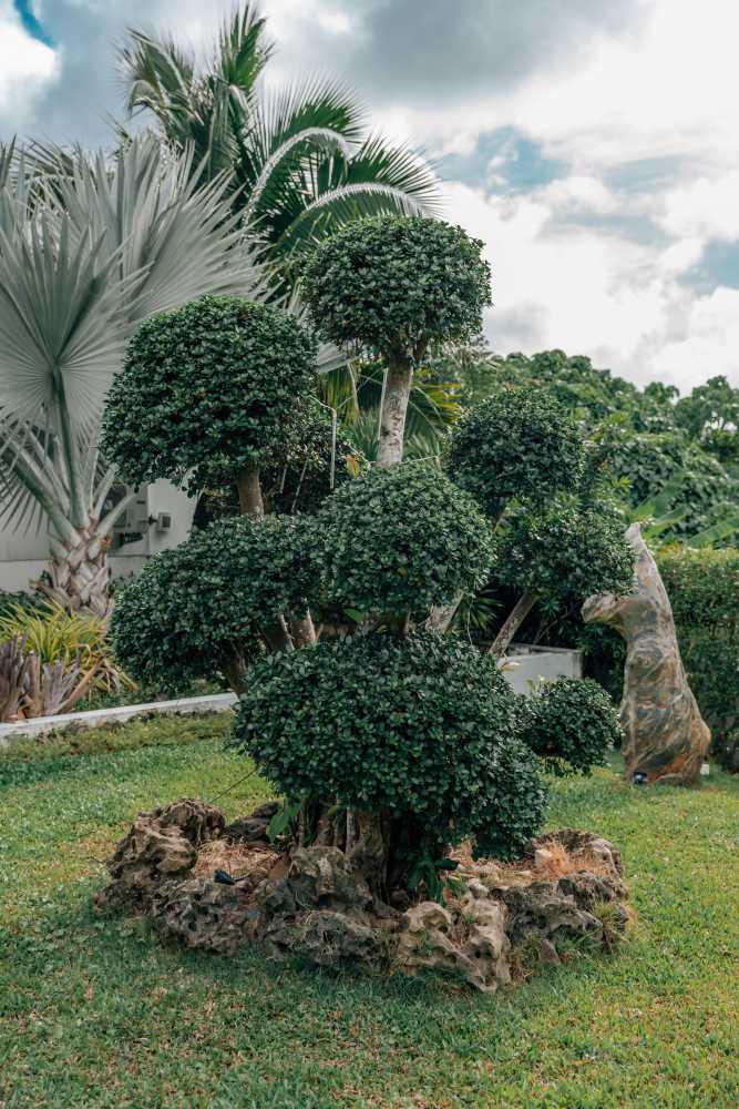 Property image - gallery 76