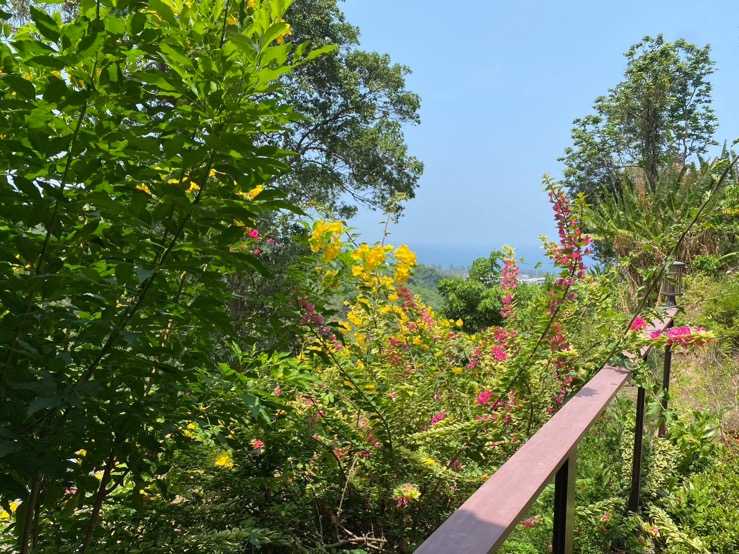 Property image - gallery 11