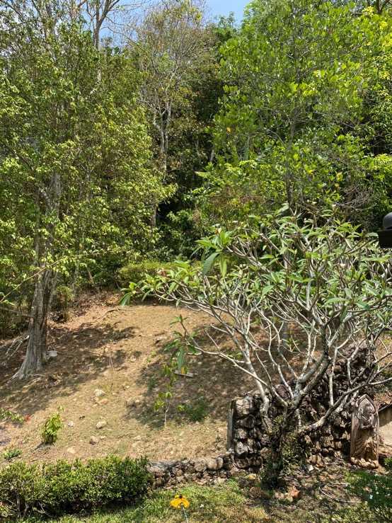 Property image - gallery 6