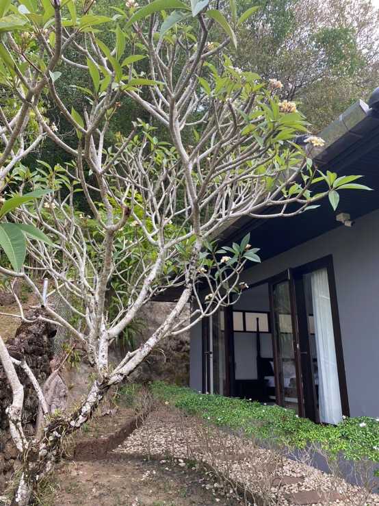 Property image - photo 5