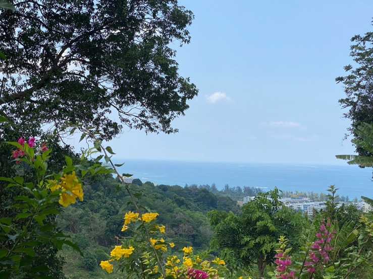 Property image - gallery 14