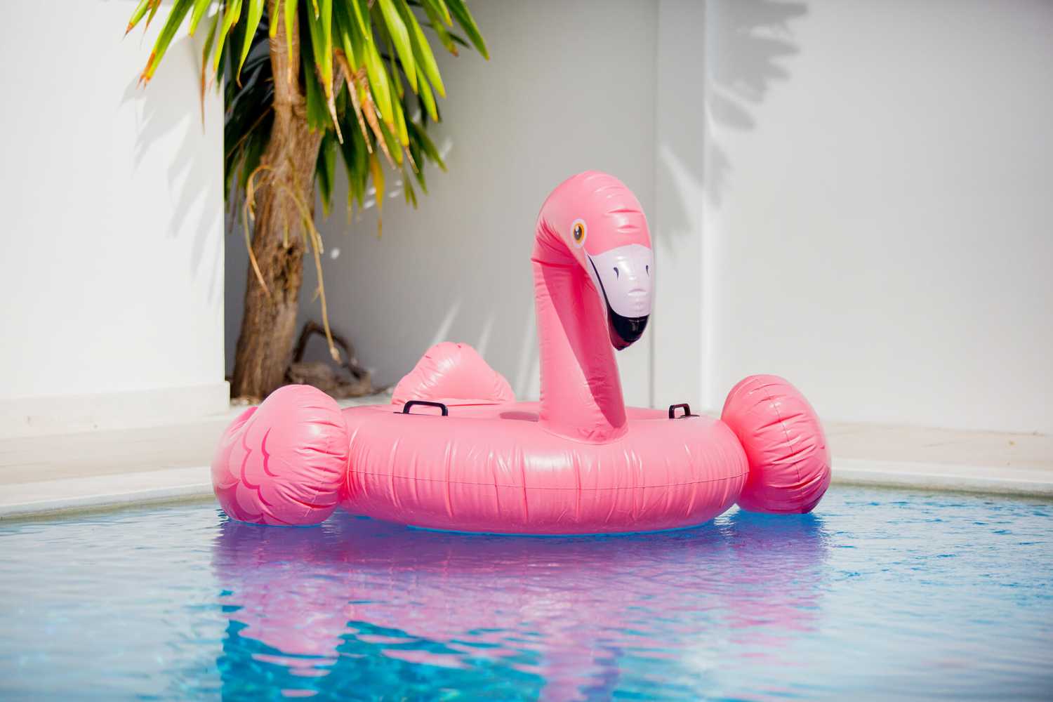 Property image - gallery 58