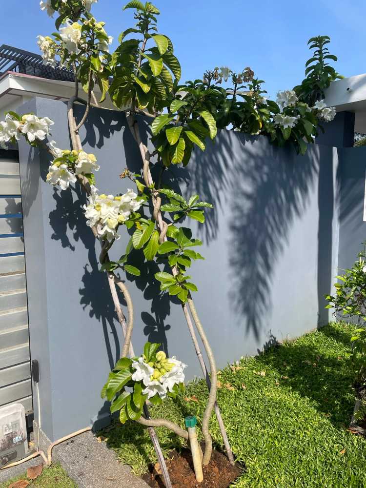 Property image - gallery 25