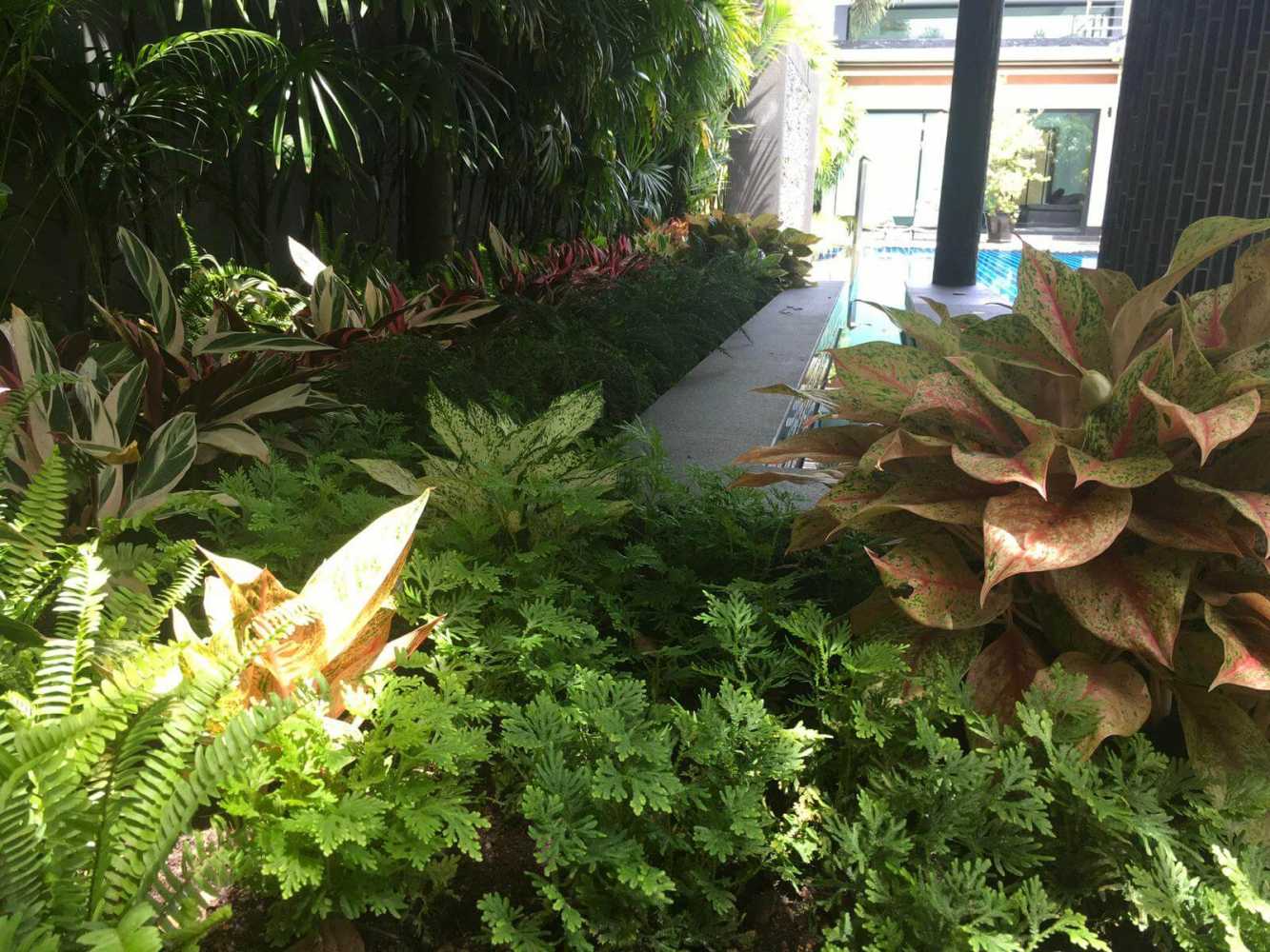 Property image - gallery 28