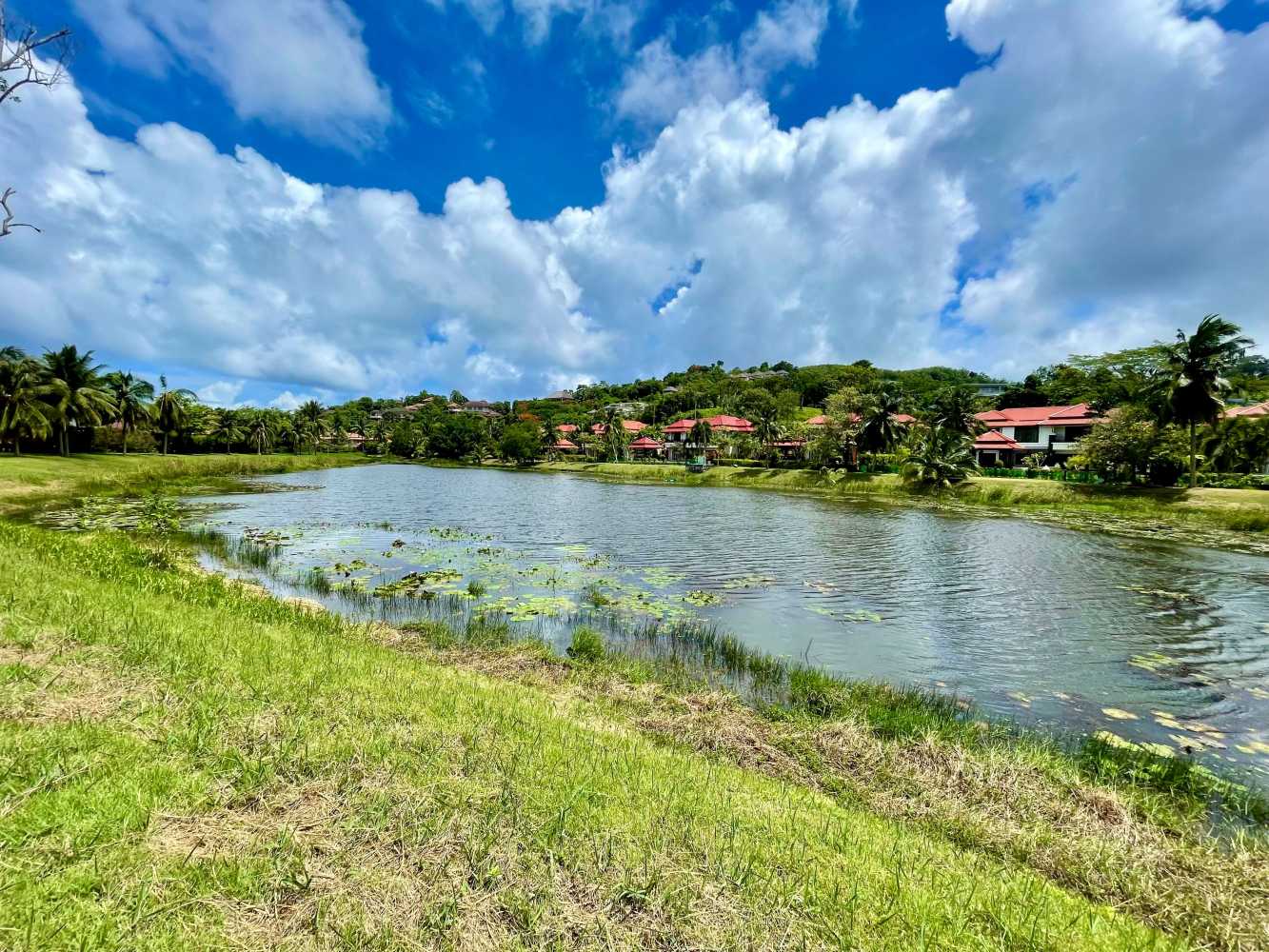 Property image - gallery 33