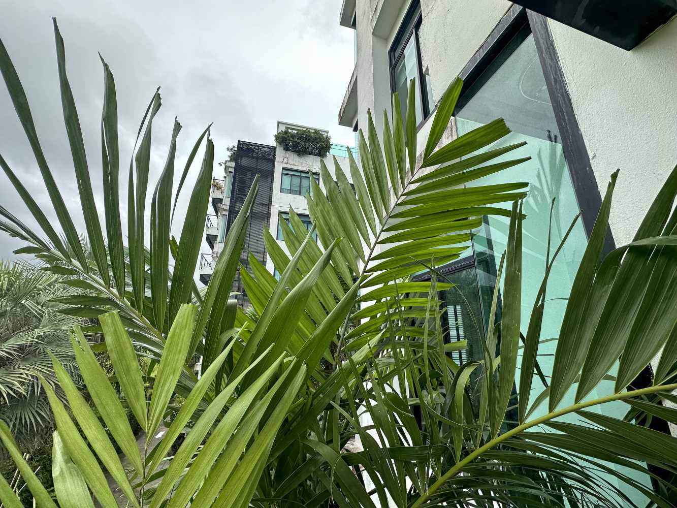 Property image - gallery 17