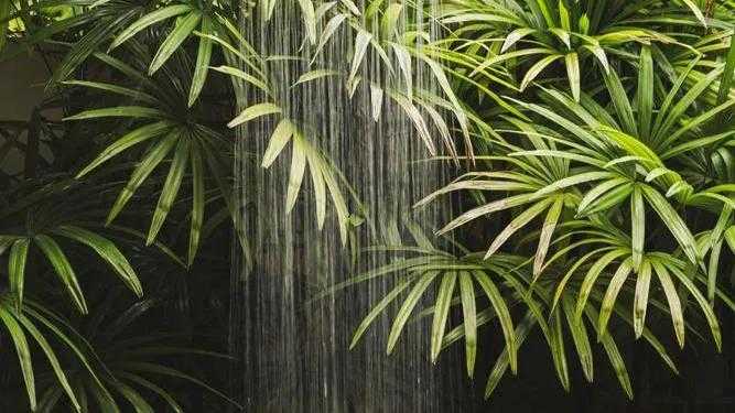 Property image - gallery 11