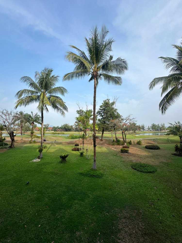 Property image - gallery 11