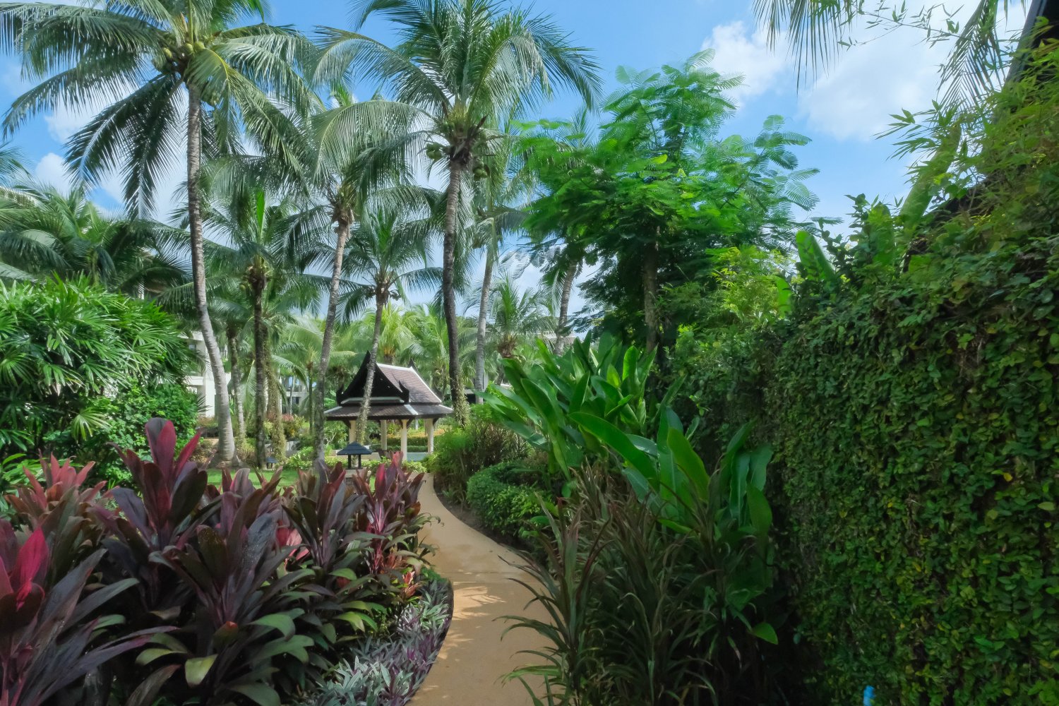 Property image - gallery 20