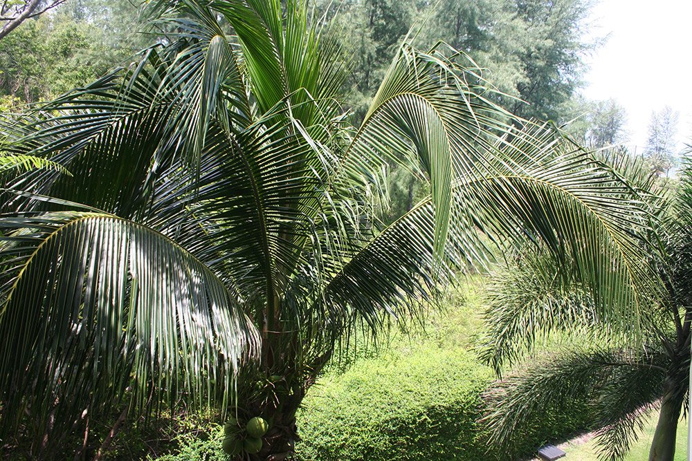 Property image - gallery 23