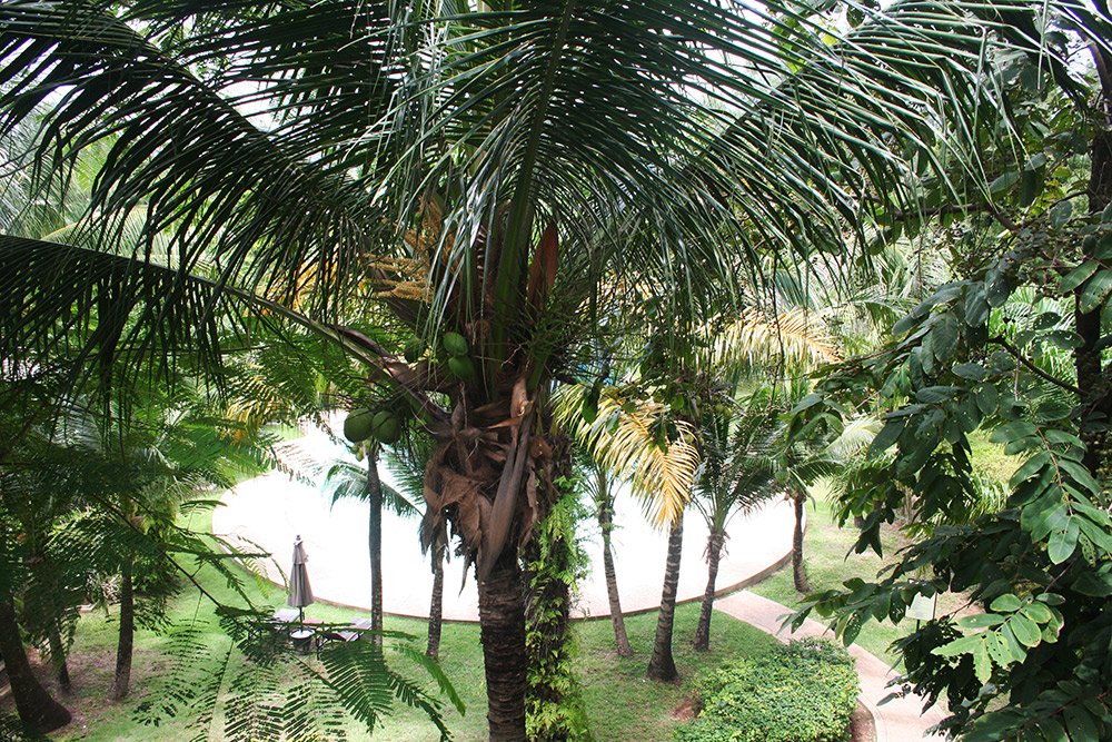 Property image - gallery 18