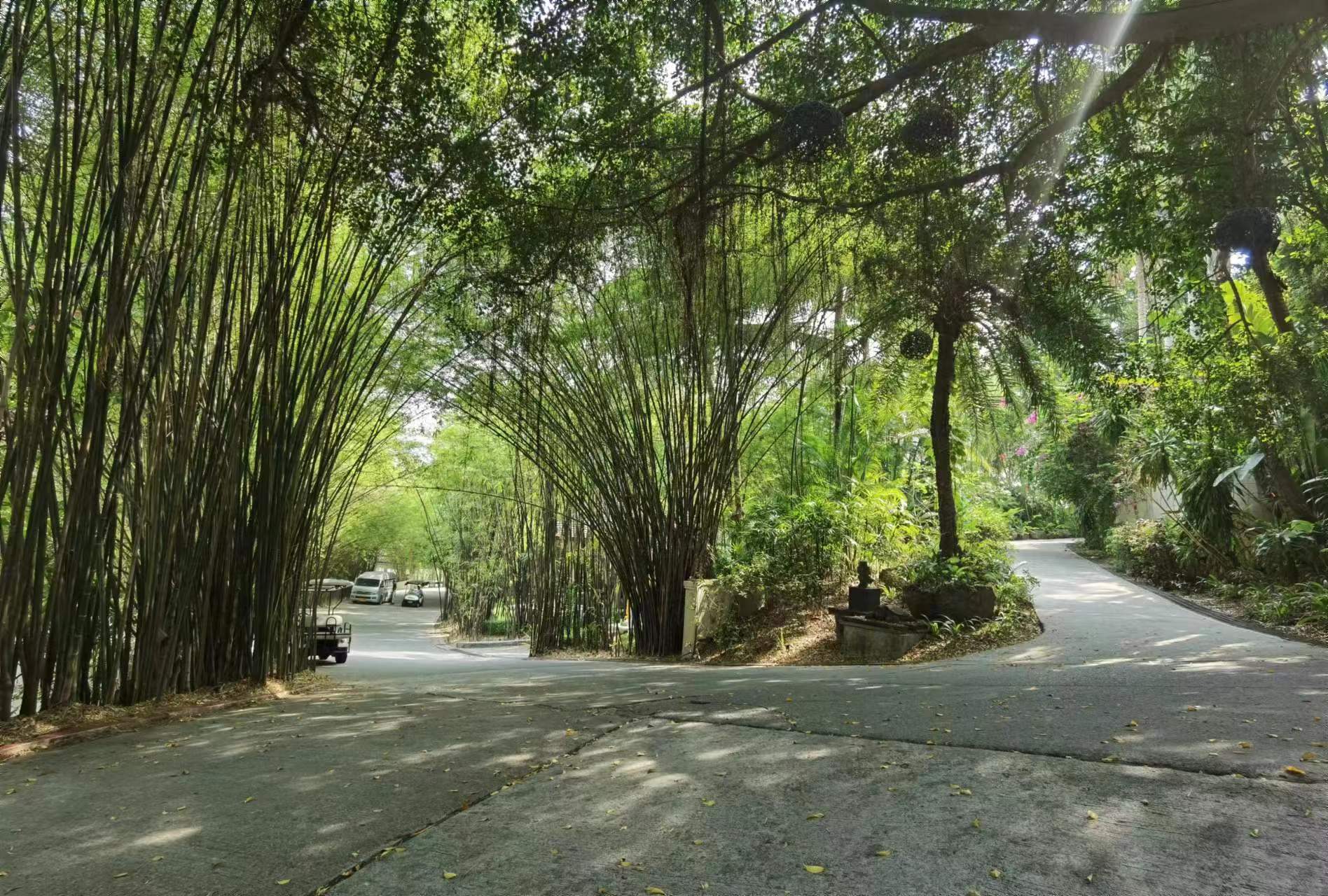 Property image - gallery 23