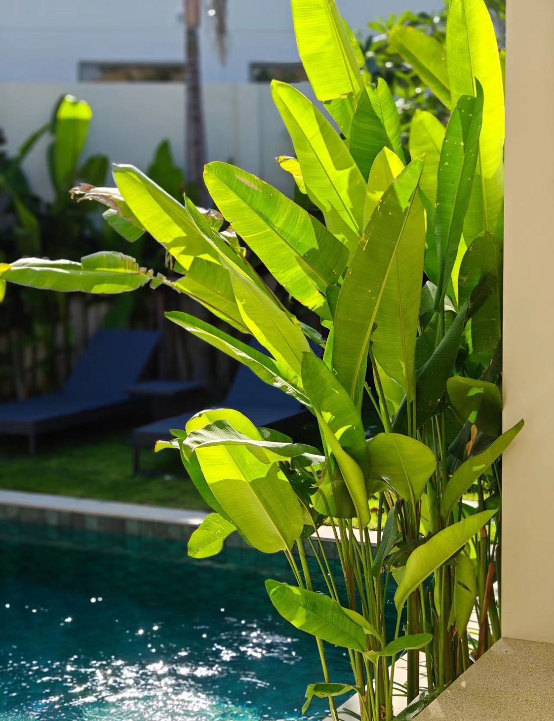 Property image - gallery 24