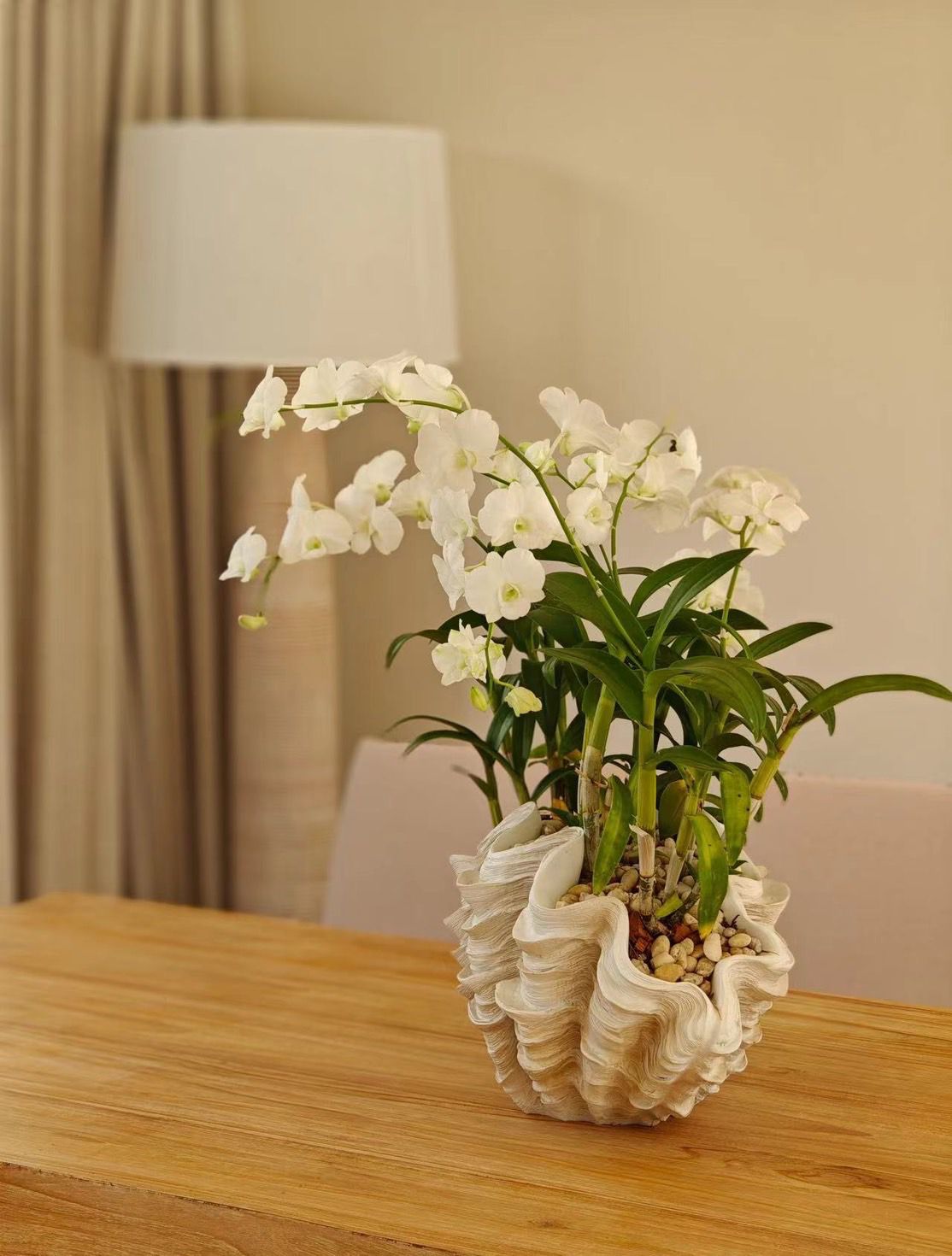 Property image - gallery 20