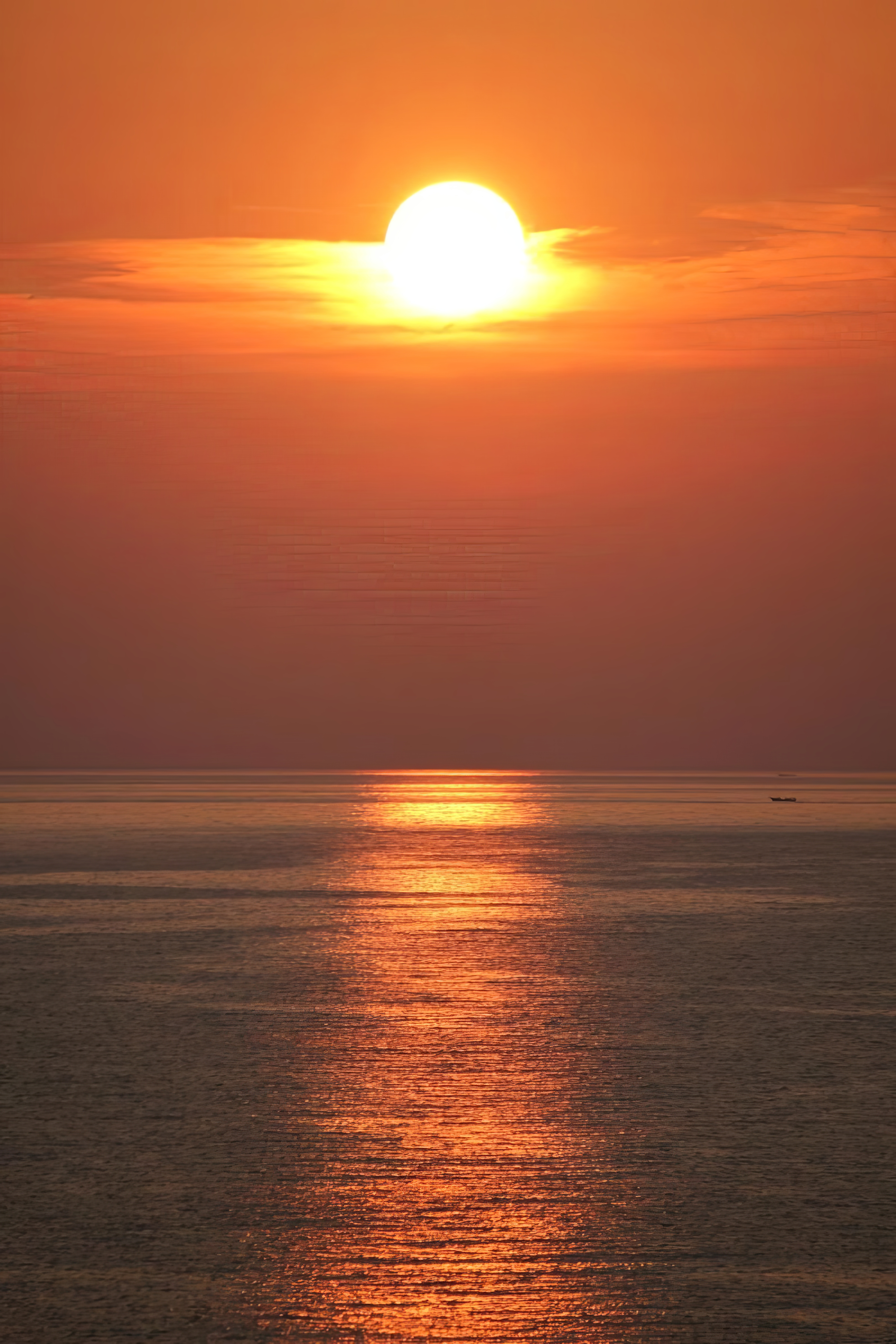 Property image - gallery 56