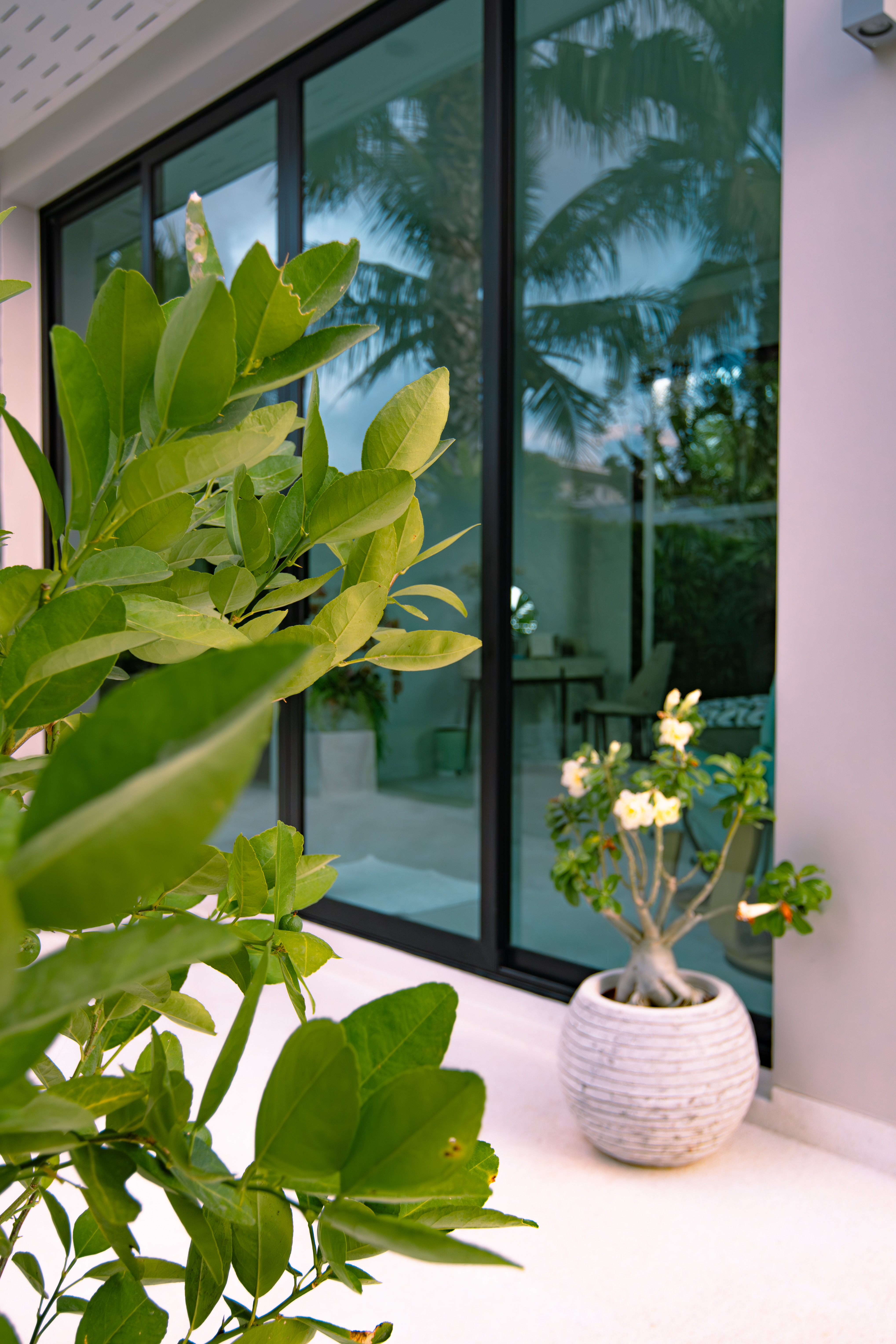 Property image - gallery 23