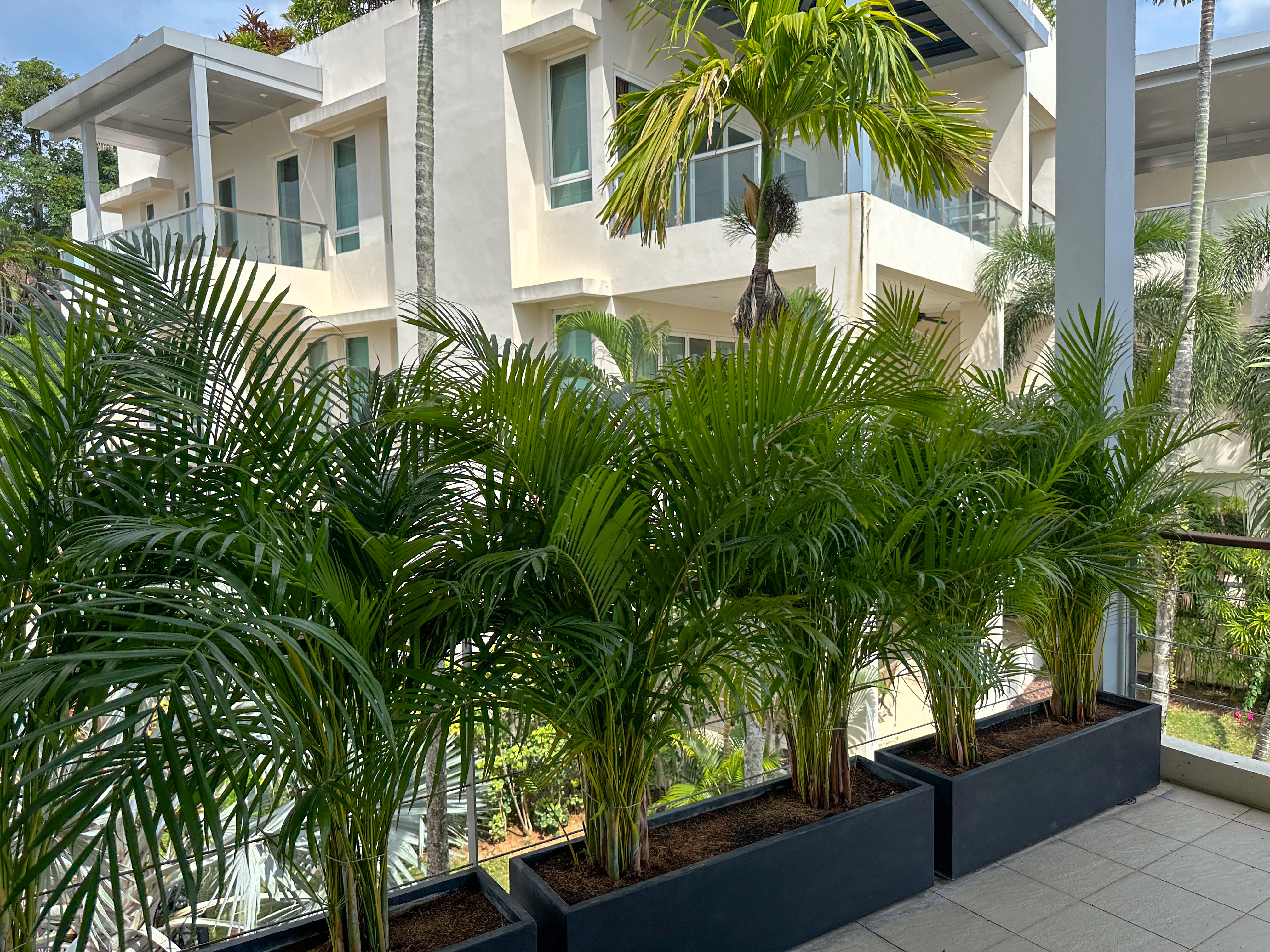 Property image - gallery 64