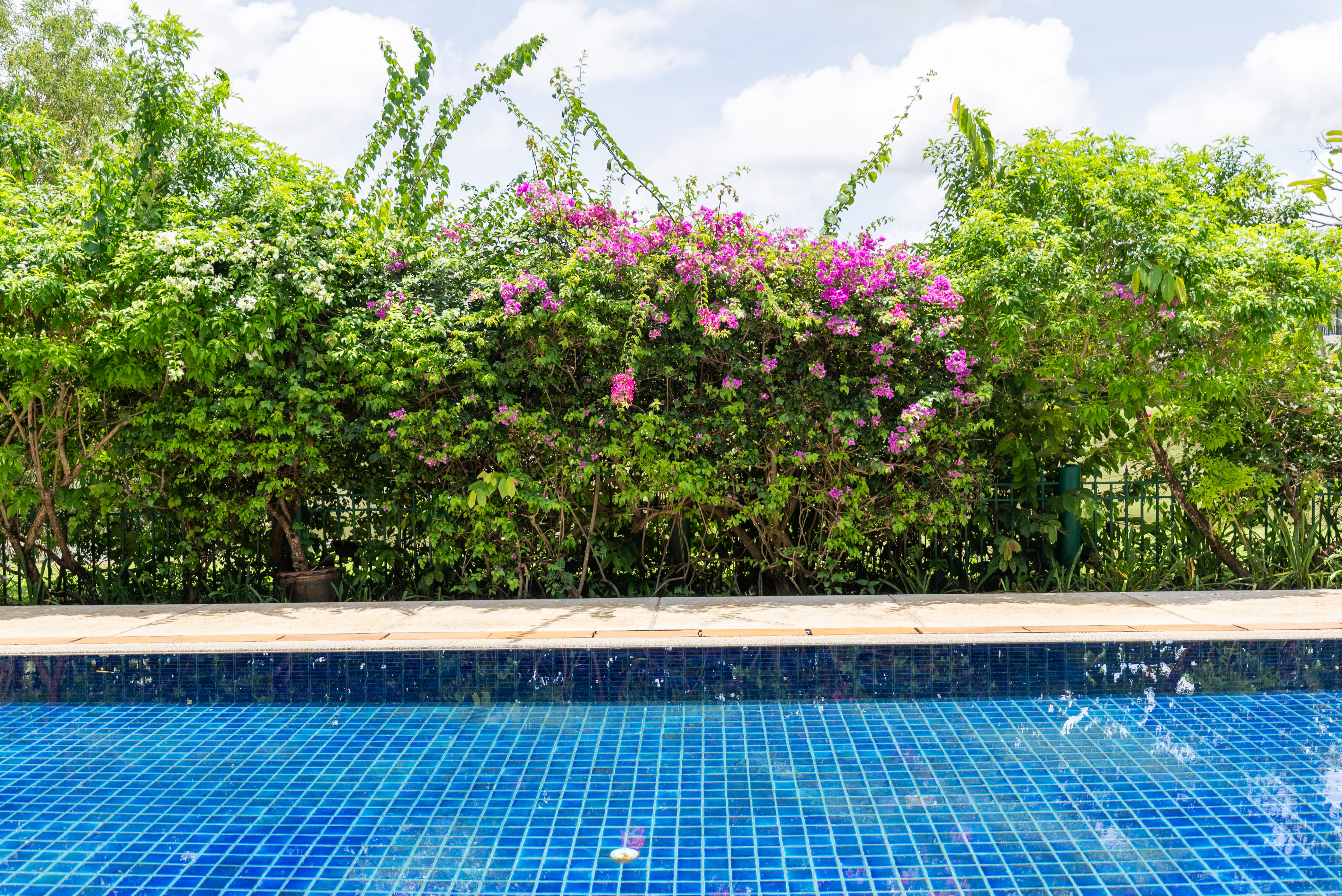 Property image - gallery 26