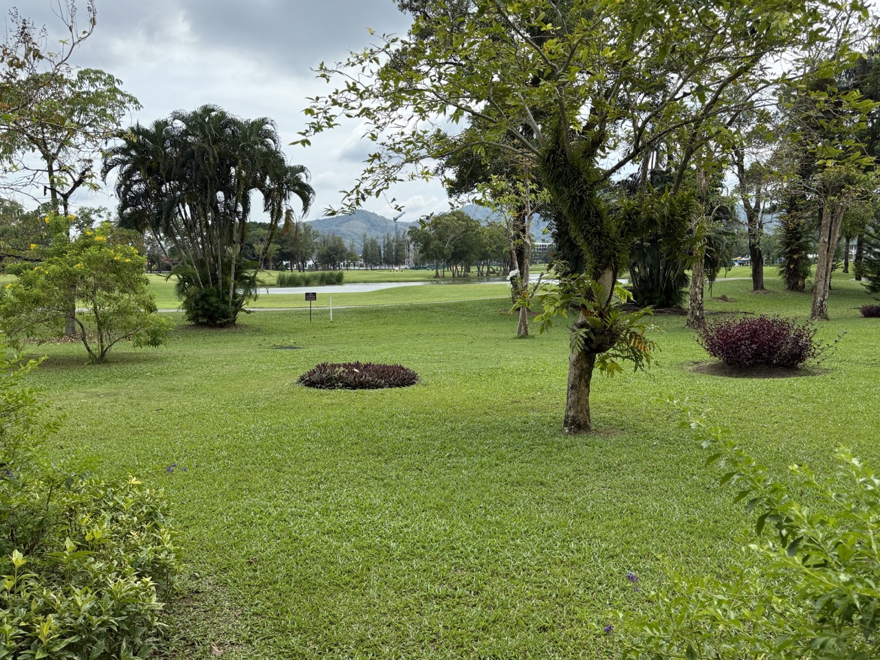 Property image - gallery 12