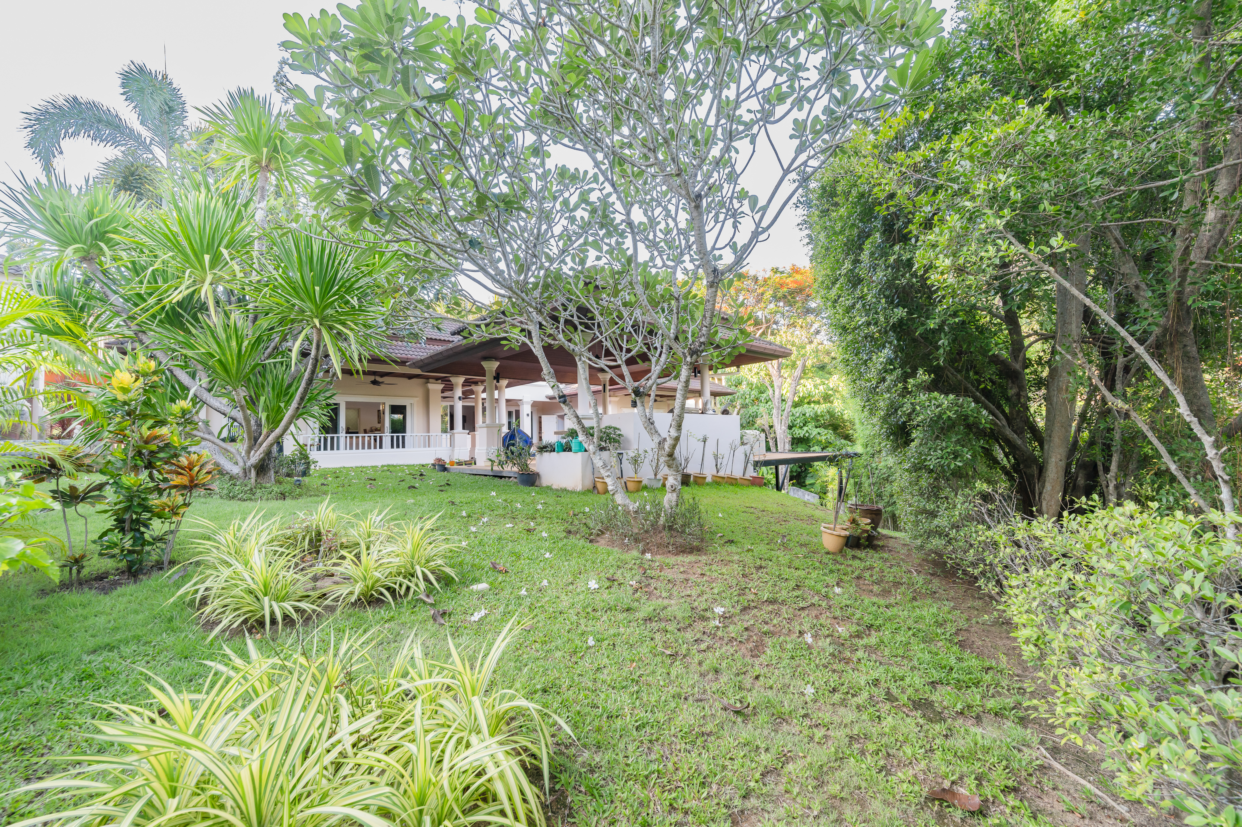 Property image - gallery 39