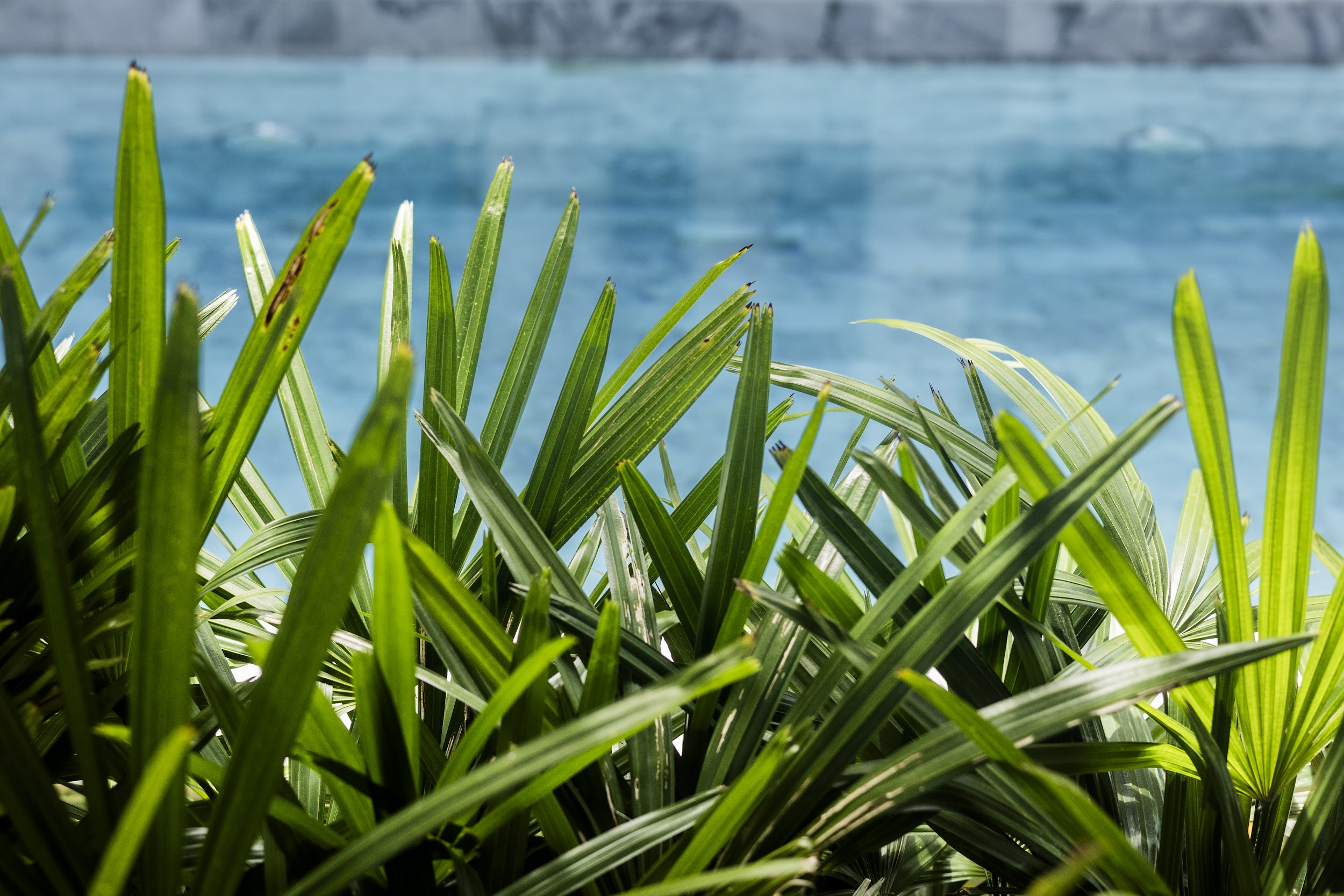 Property image - gallery 8