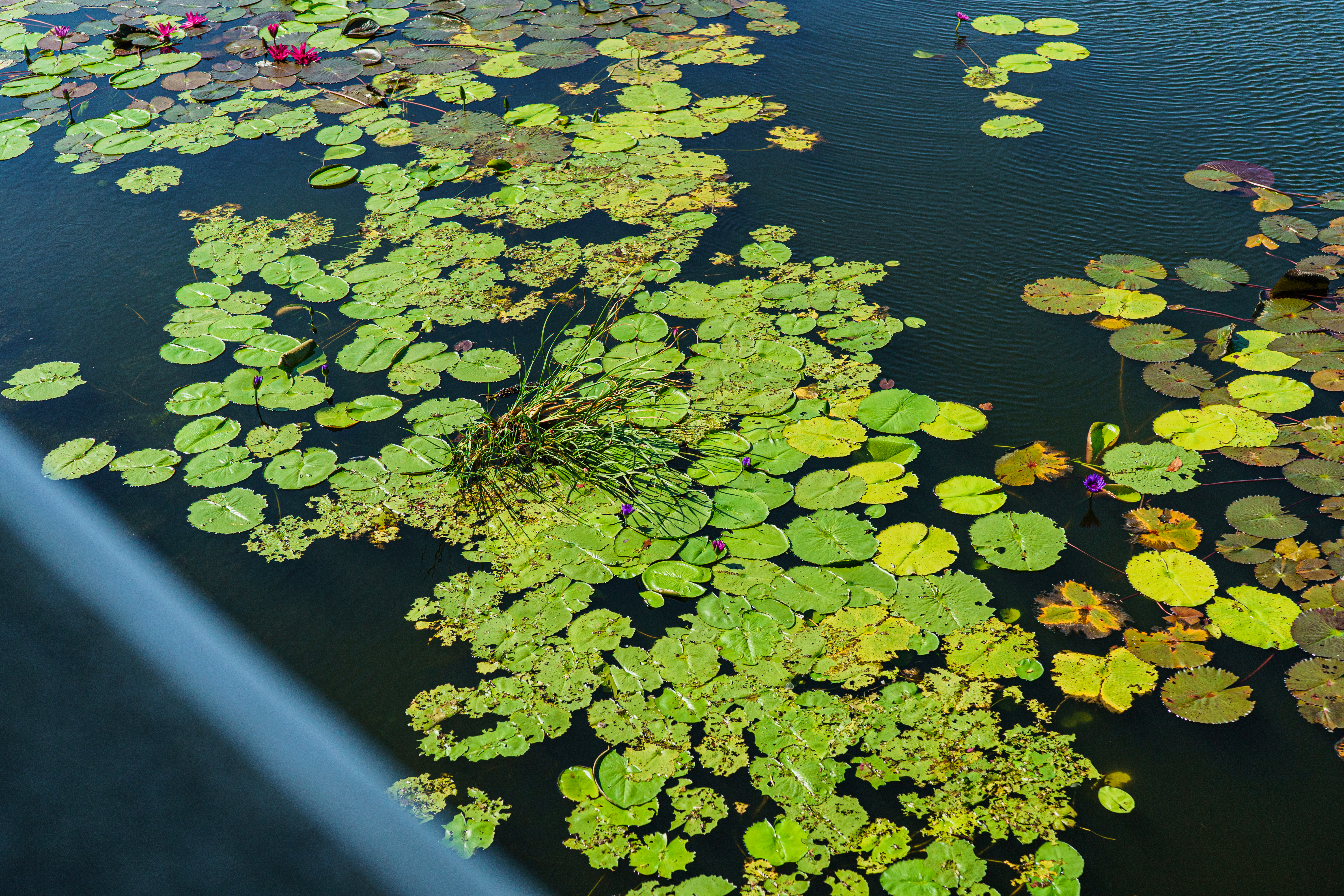 Property image - gallery 21