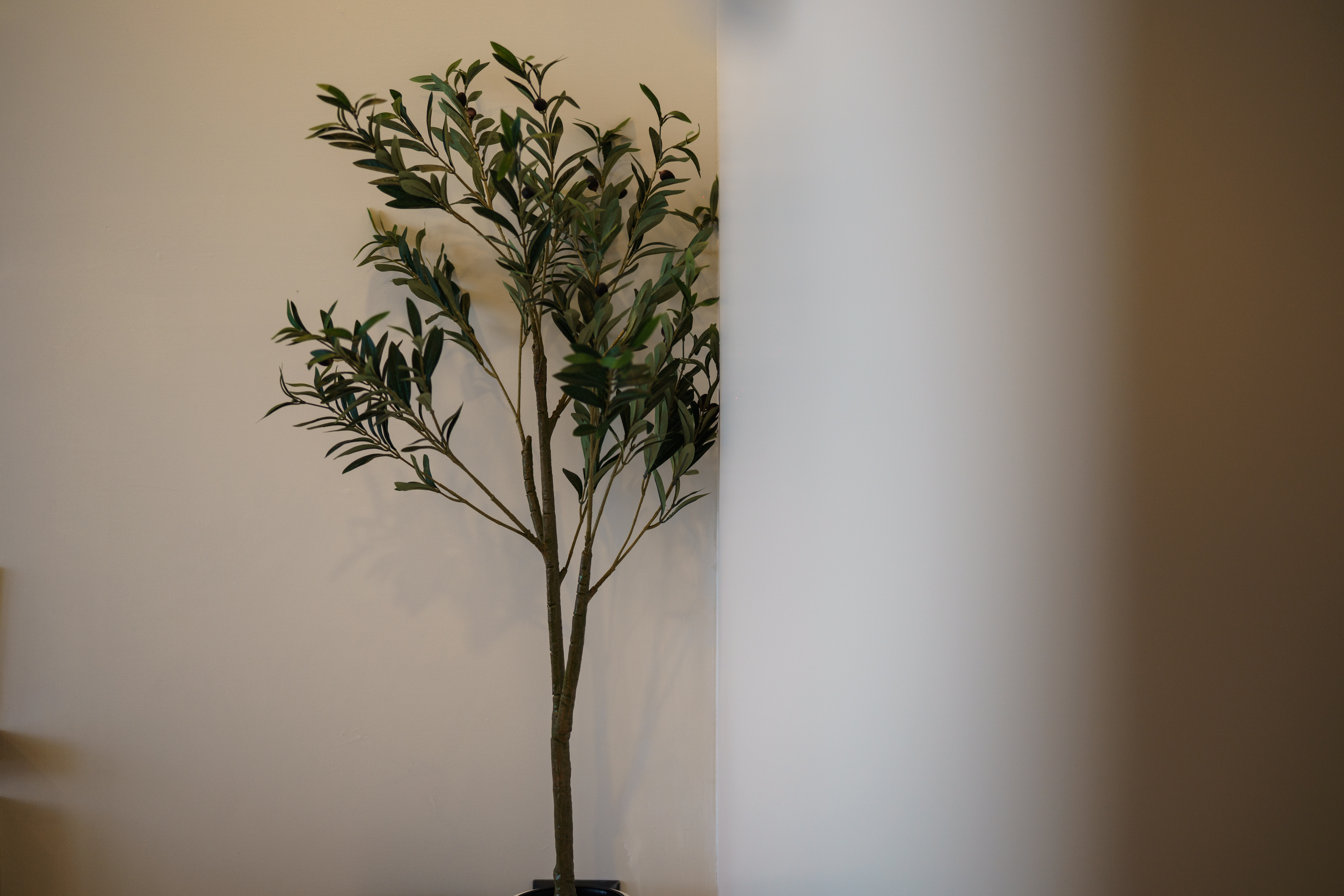 Property image - gallery 16