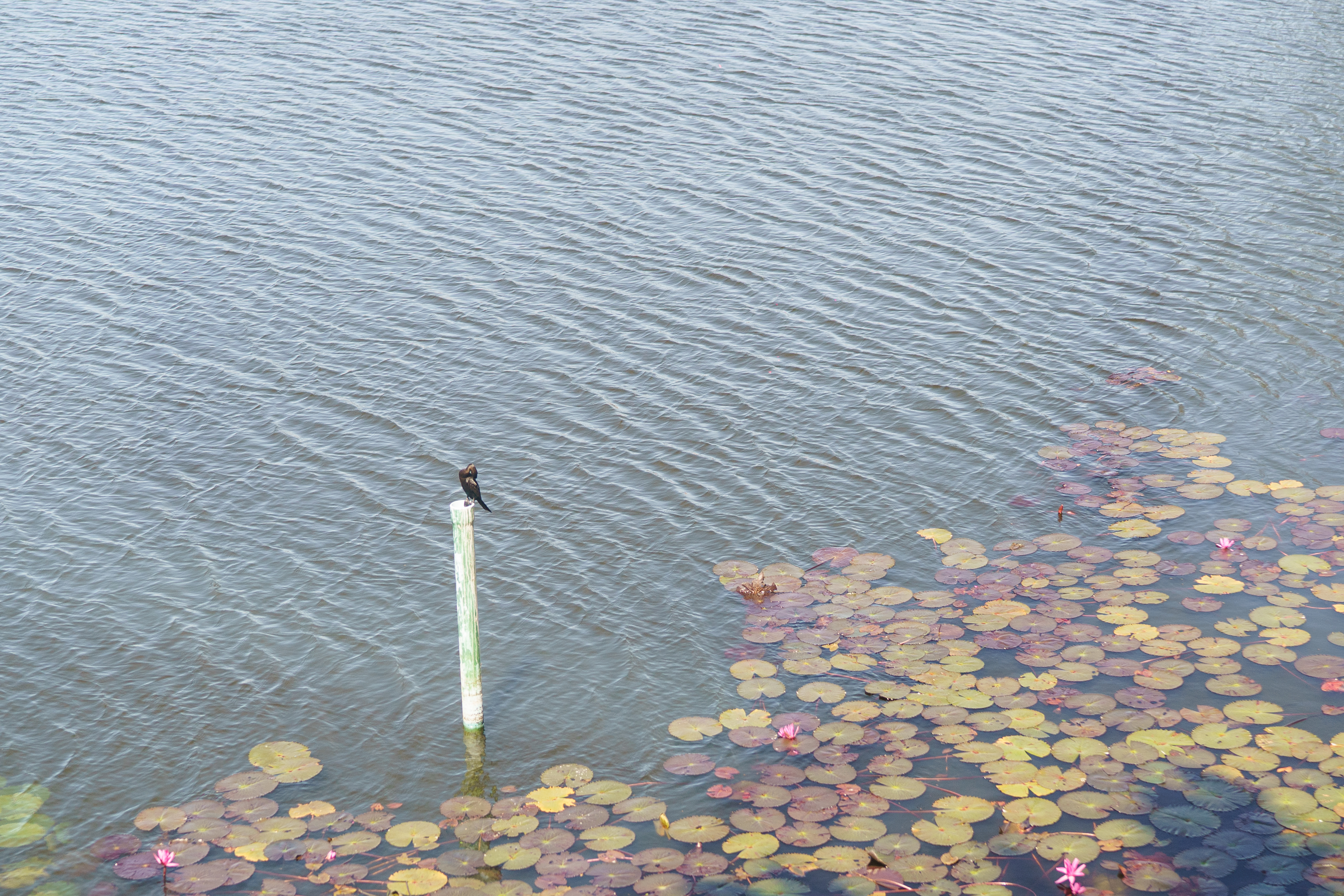 Property image - gallery 40