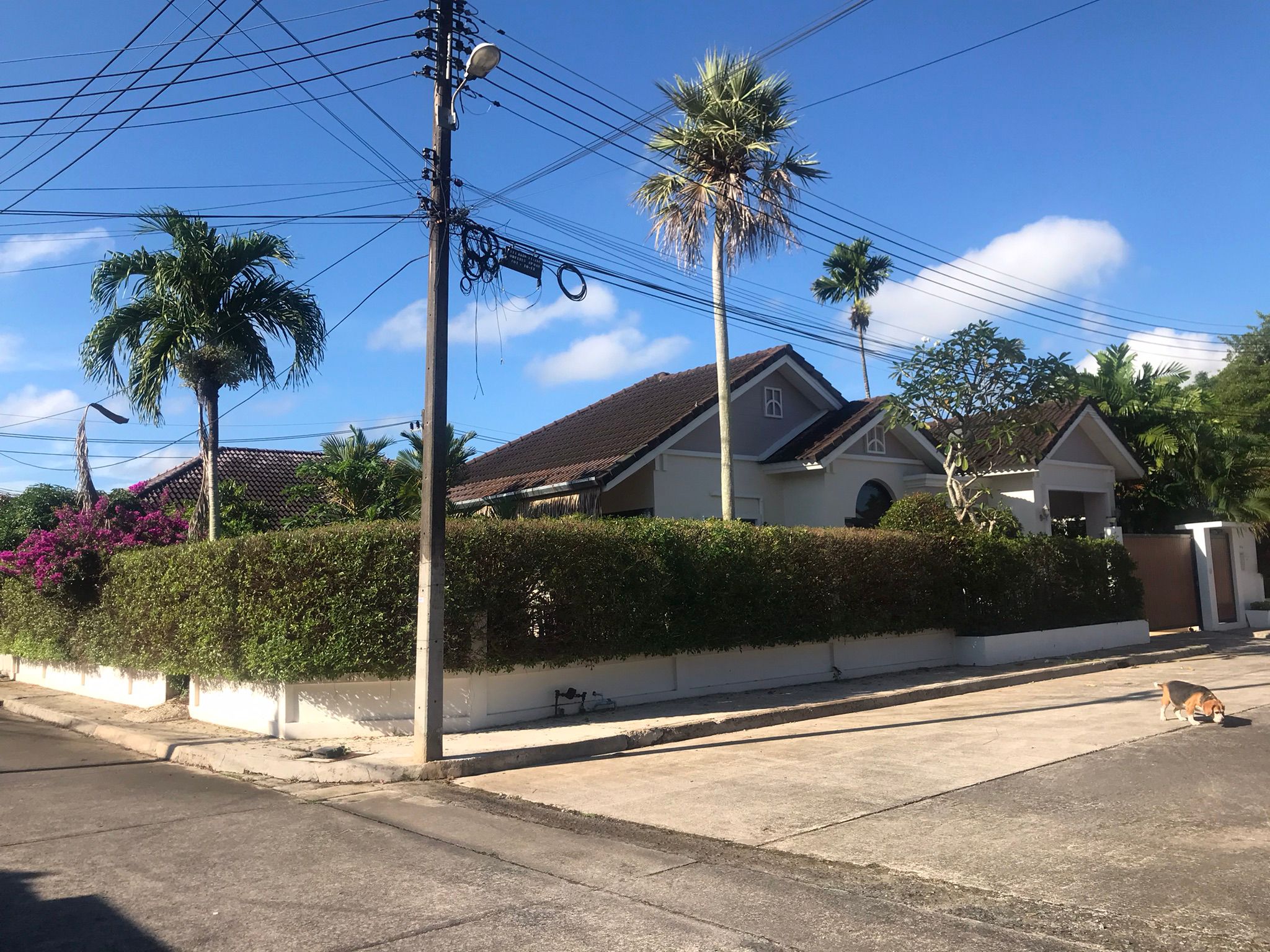 Property image - gallery 9