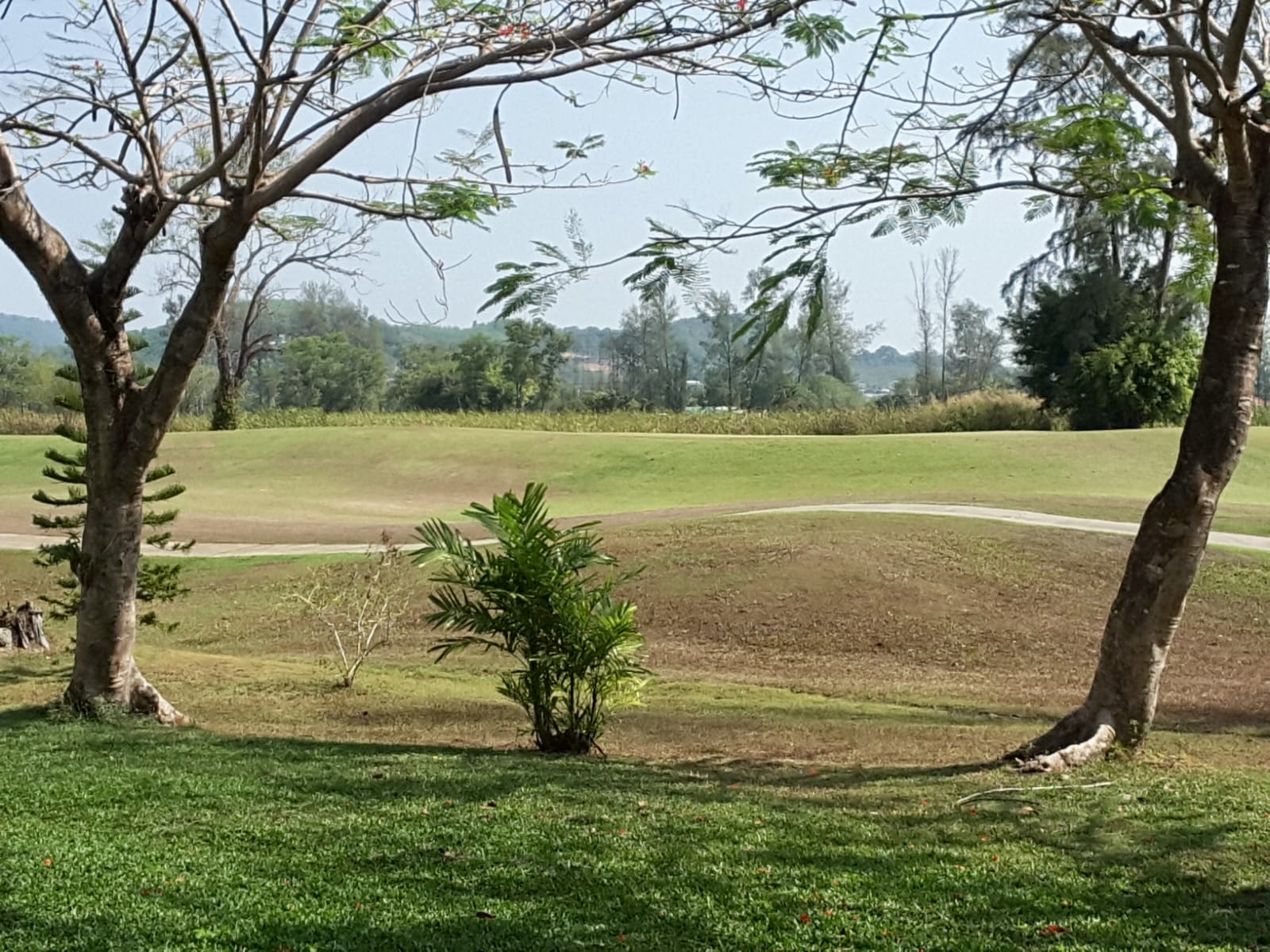 Property image - gallery 15