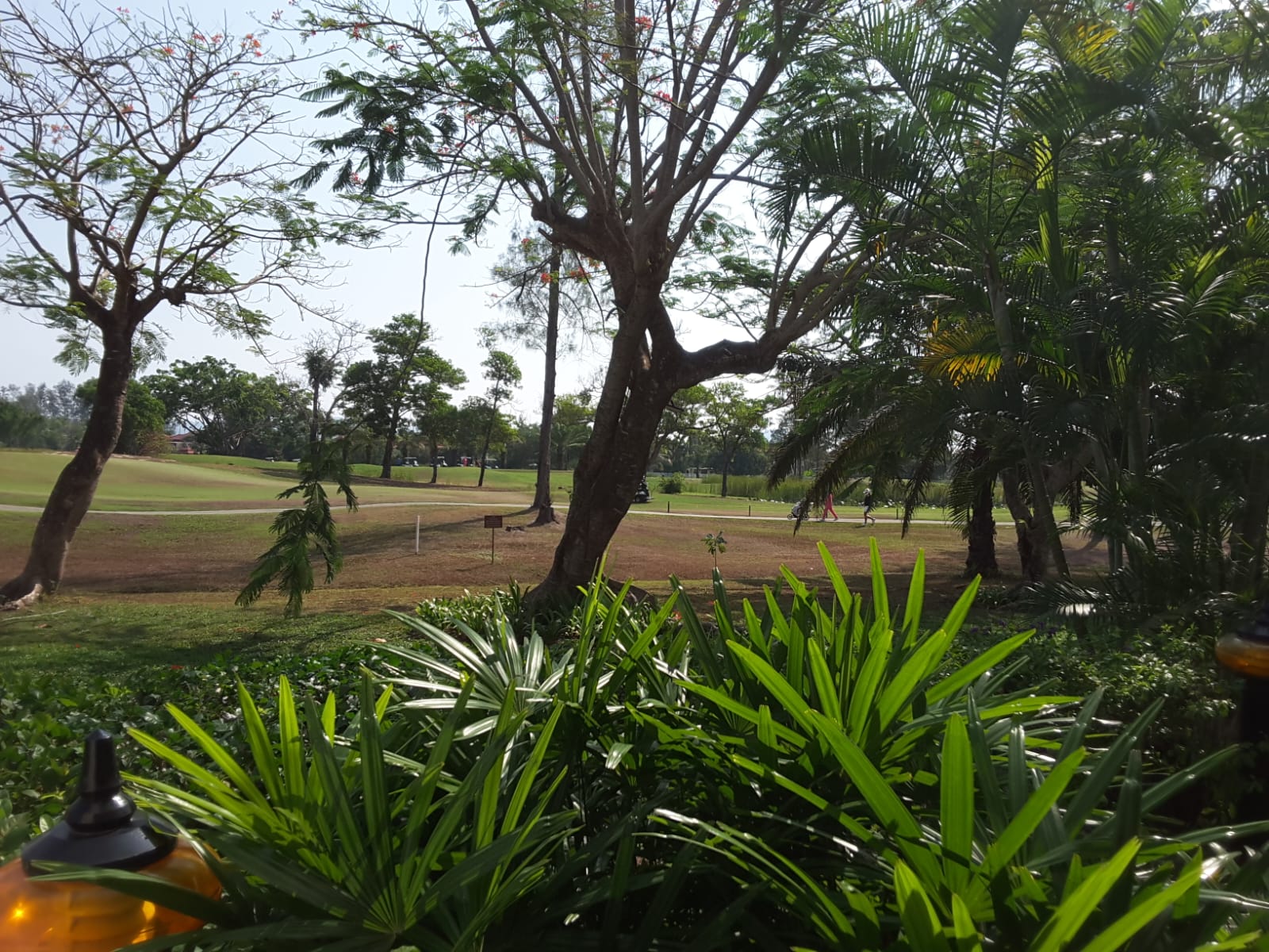 Property image - gallery 16