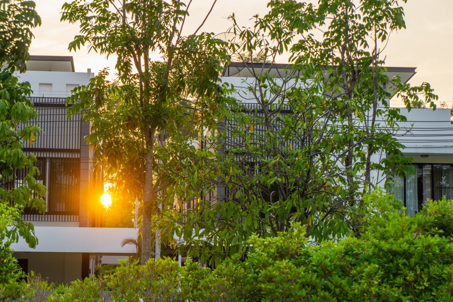 Property image - gallery 33