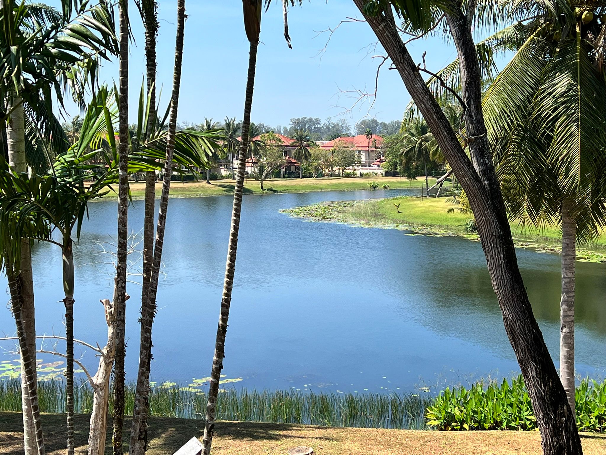 Property image - gallery 16