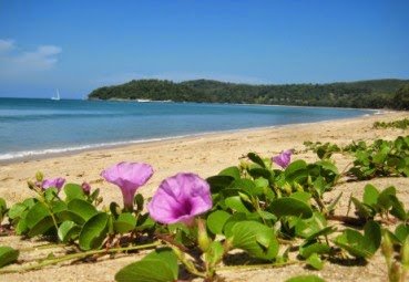 Property image - gallery 16