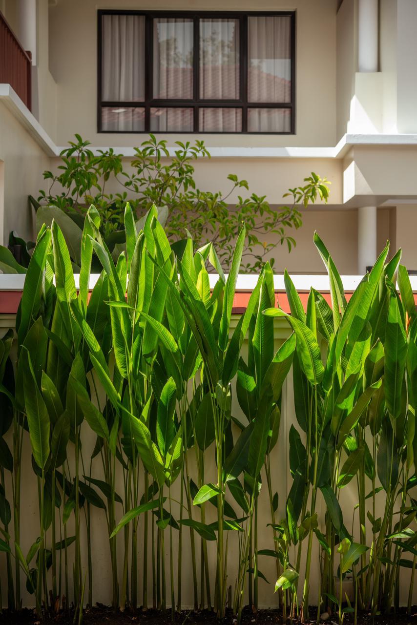 Property image - gallery 39