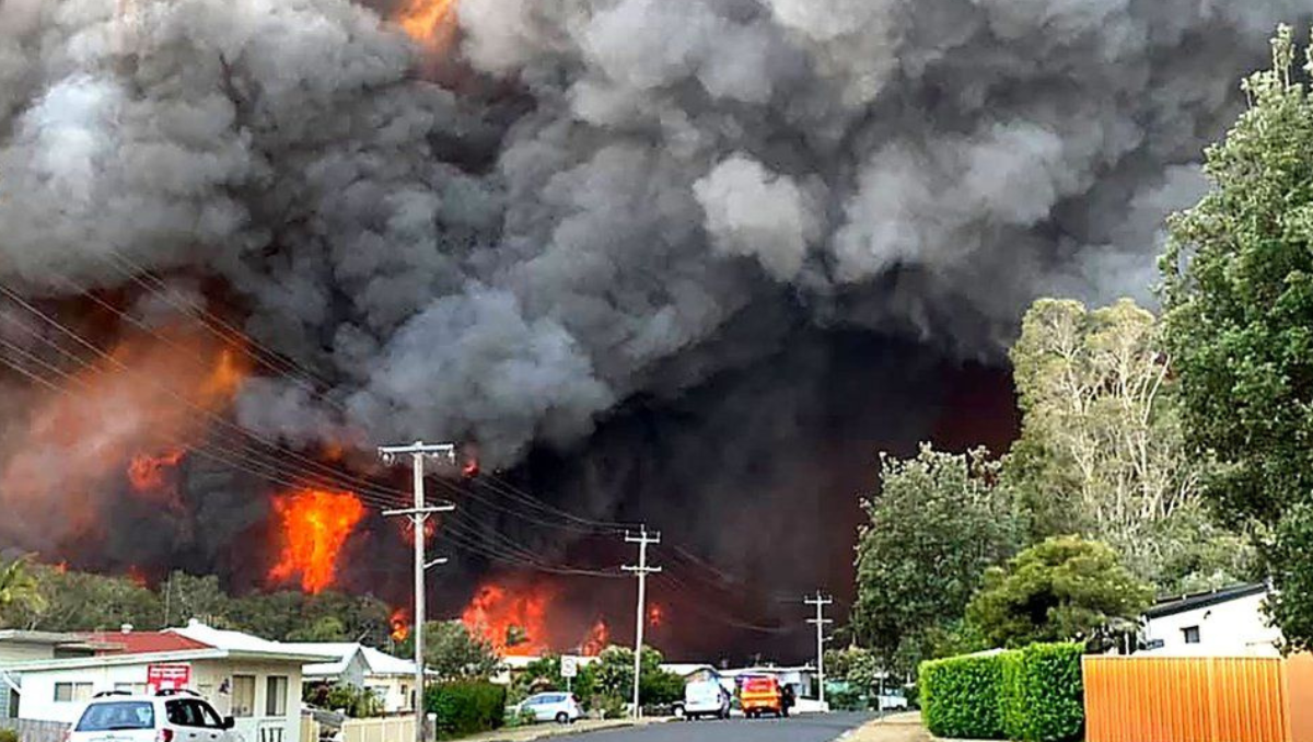 Brutal Bush Fire in Australia
