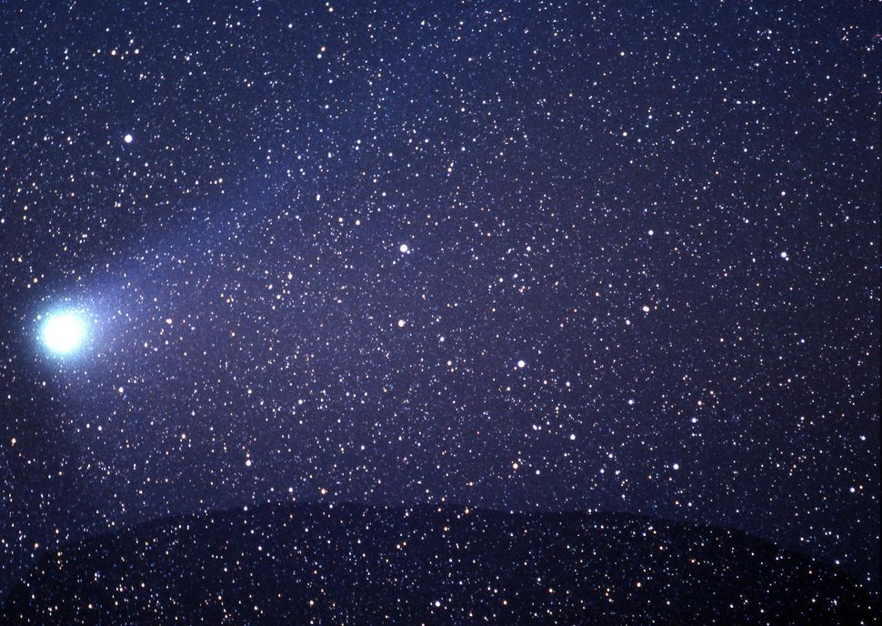Haley Comet, the remnants of which become the orionid meteor shower