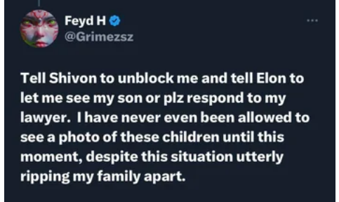 Grimes's Tweet in response to Zilis's photo of her twins with Elon Musk.