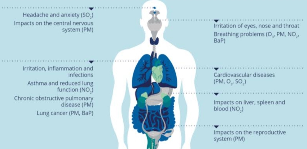 An image of the infographic on how air pollution harms your body parts. 5 reasons why you should avoid working out in polluter air.