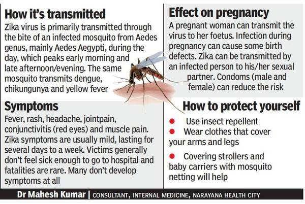 Photograph by The Times of India | About Zika