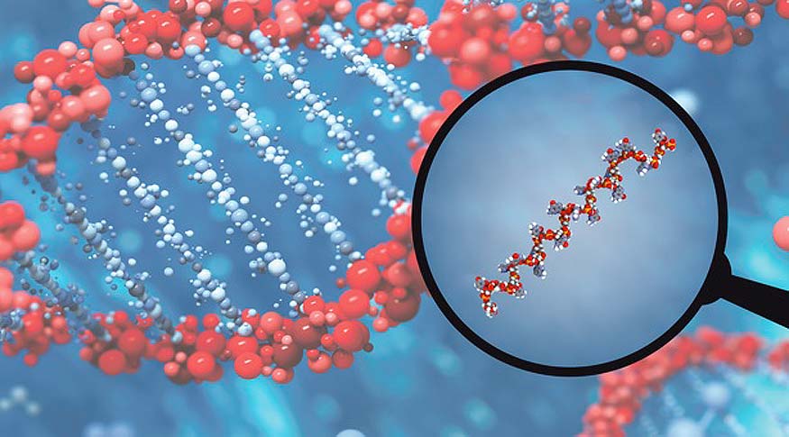 scientists discovered DNA generating new novel genes
