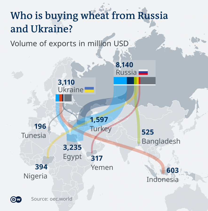 Ukraine Wheat Supply Chain